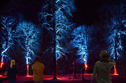 Lichtwind_Goetheinstitut_Ankara__Buether_Pankrath_web Lichtwind_Goetheinstitut_Ankara__Buether_Pankrath_web