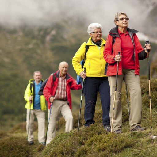 overview item image thumbnail